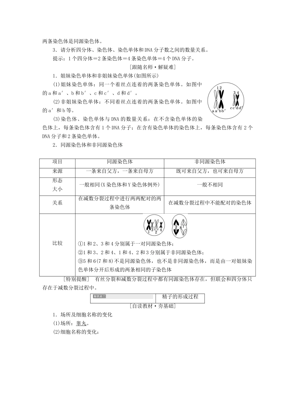 高中生物 第2章 基因和染色体的关系 第1节 减数分裂和受精作用（第1课时）精子的形成过程学案 新人教版必修2-新人教版高一必修2生物学案_第2页