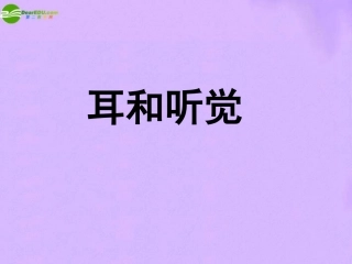 1.3耳和听觉（第1课时）