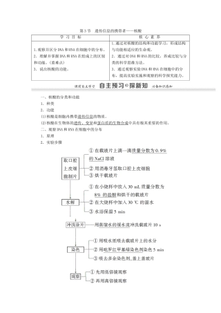 高中生物 第2章 组成细胞的分子 第3节 遗传信息的携带者——核酸学案 新人教版必修1-新人教版高一必修1生物学案