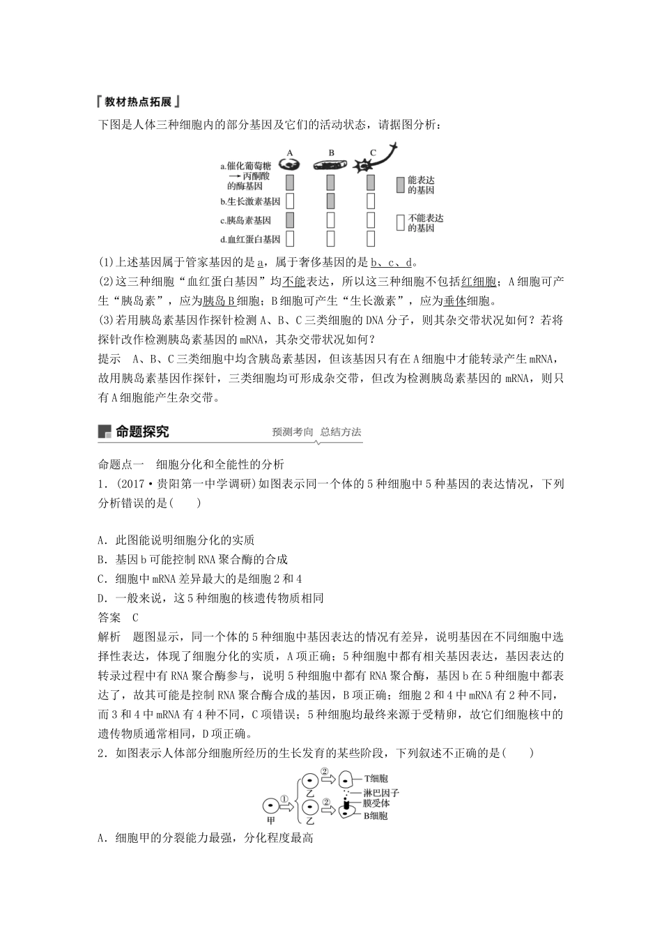高考生物大一轮复习 第四单元 细胞的生命历程 第13讲 细胞的分化、衰老、凋亡与癌变学案-人教版高三全册生物学案_第3页