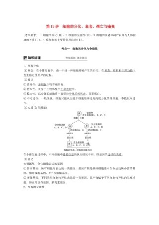 高考生物大一轮复习 第四单元 细胞的生命历程 第13讲 细胞的分化、衰老、凋亡与癌变学案-人教版高三全册生物学案