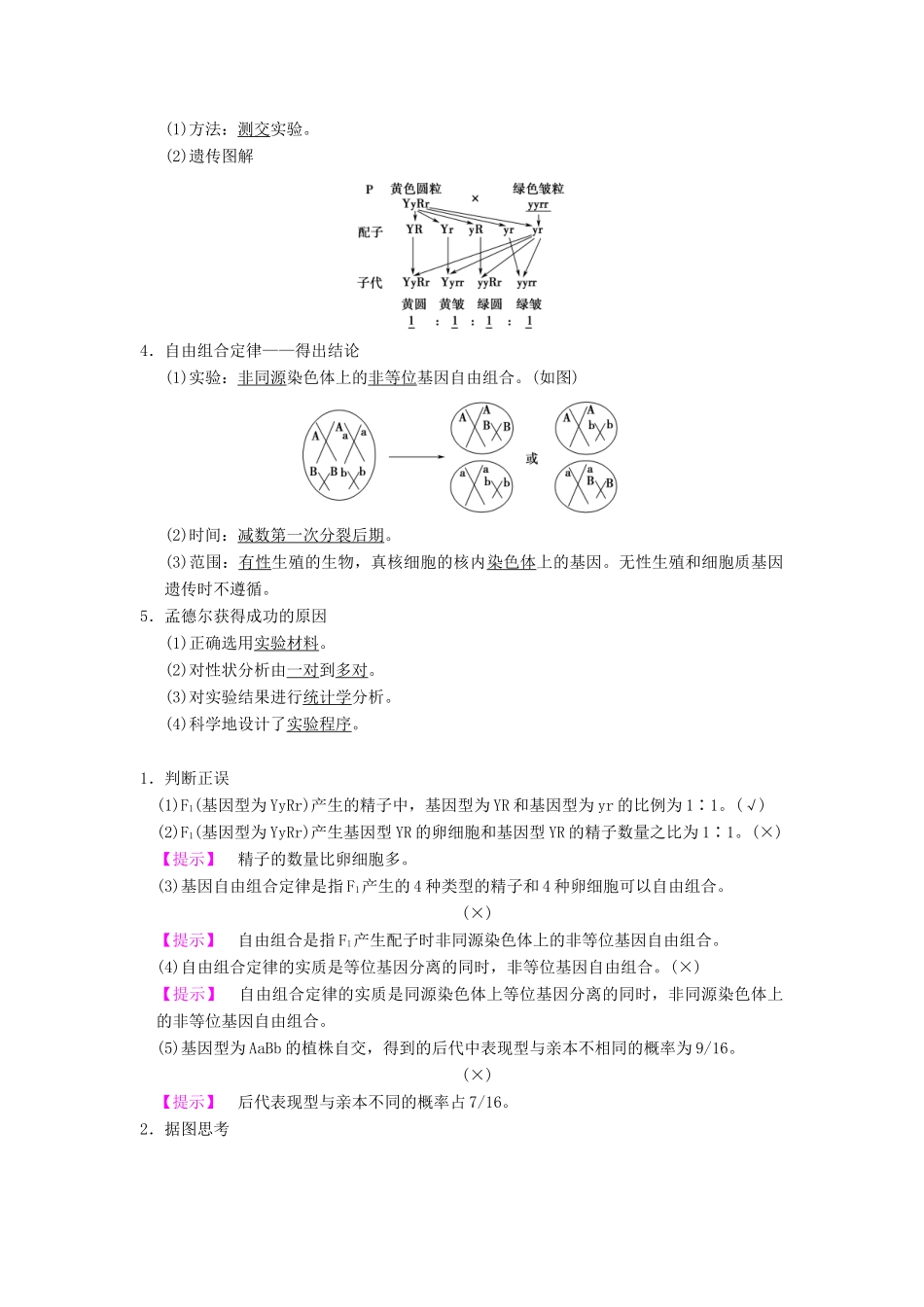 （全国版）高考生物一轮复习 第5单元 遗传定律和伴性遗传 第2讲 孟德尔的豌豆杂交实验(二)学案-人教版高三全册生物学案_第2页