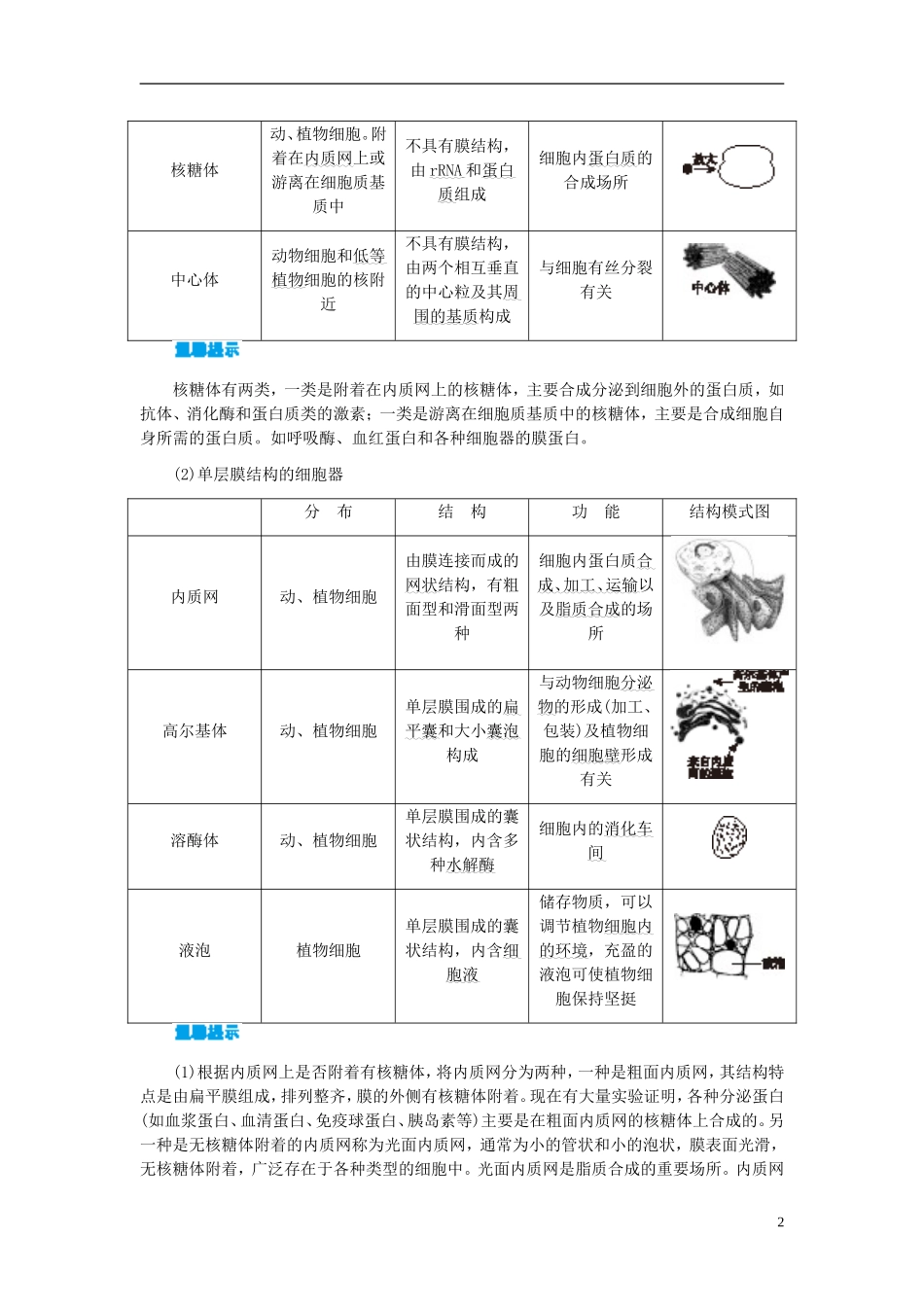 高中生物 第3章 第2节 细胞器-系统内的分工合作学案 新人教版必修1-新人教版高一必修1生物学案_第2页