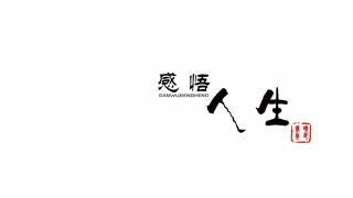 感悟人生（模板）