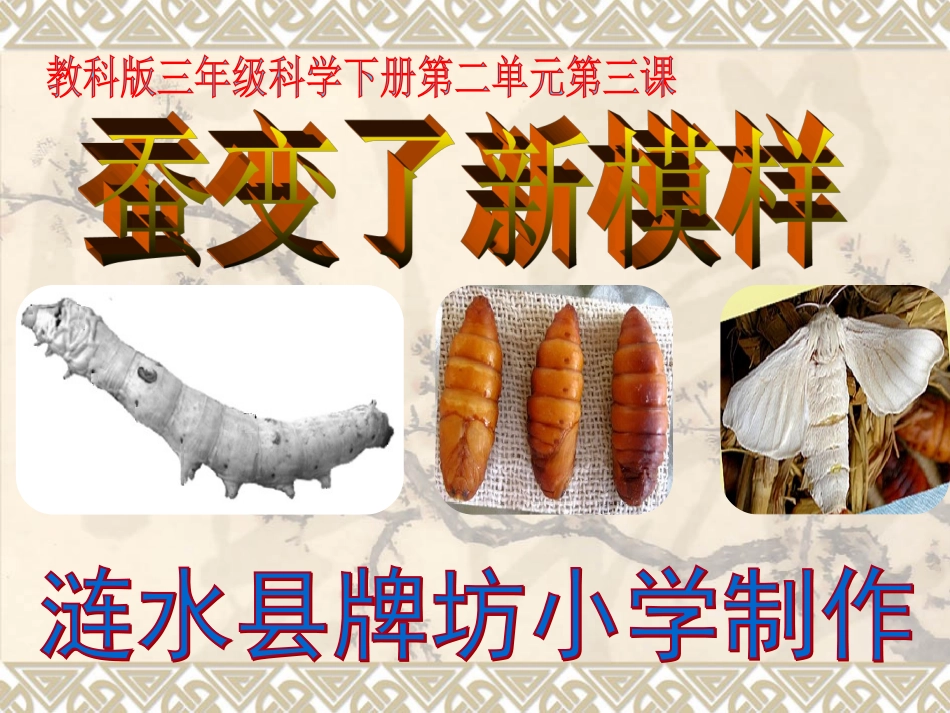 蚕变了新模样_第1页