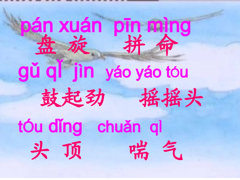 小鹰学飞课件_第3页