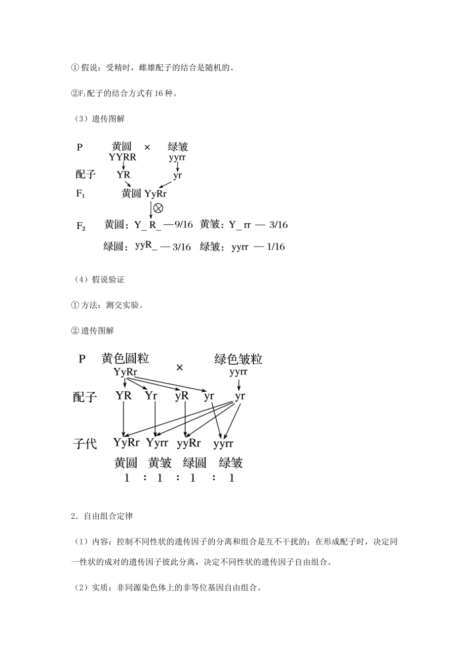 （全国通用）高考生物总复习《孟德尔的豌豆杂交实验（二）》专题突破学案-人教版高三全册生物学案_第2页