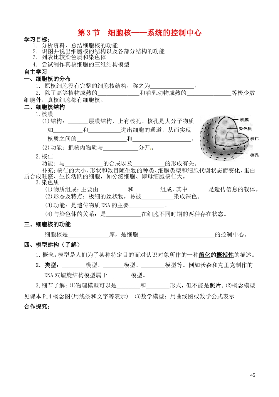 高中生物 3.3 细胞核-系统的控制中心导学案 新人教版必修1-新人教版高一必修1生物学案_第1页