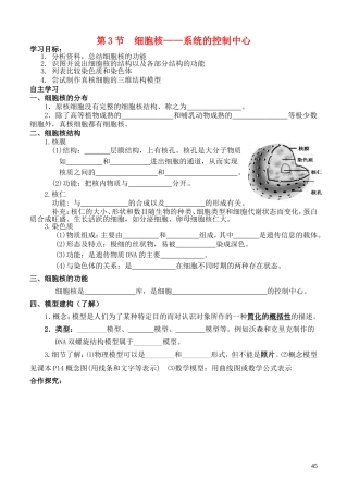 高中生物 3.3 细胞核-系统的控制中心导学案 新人教版必修1-新人教版高一必修1生物学案