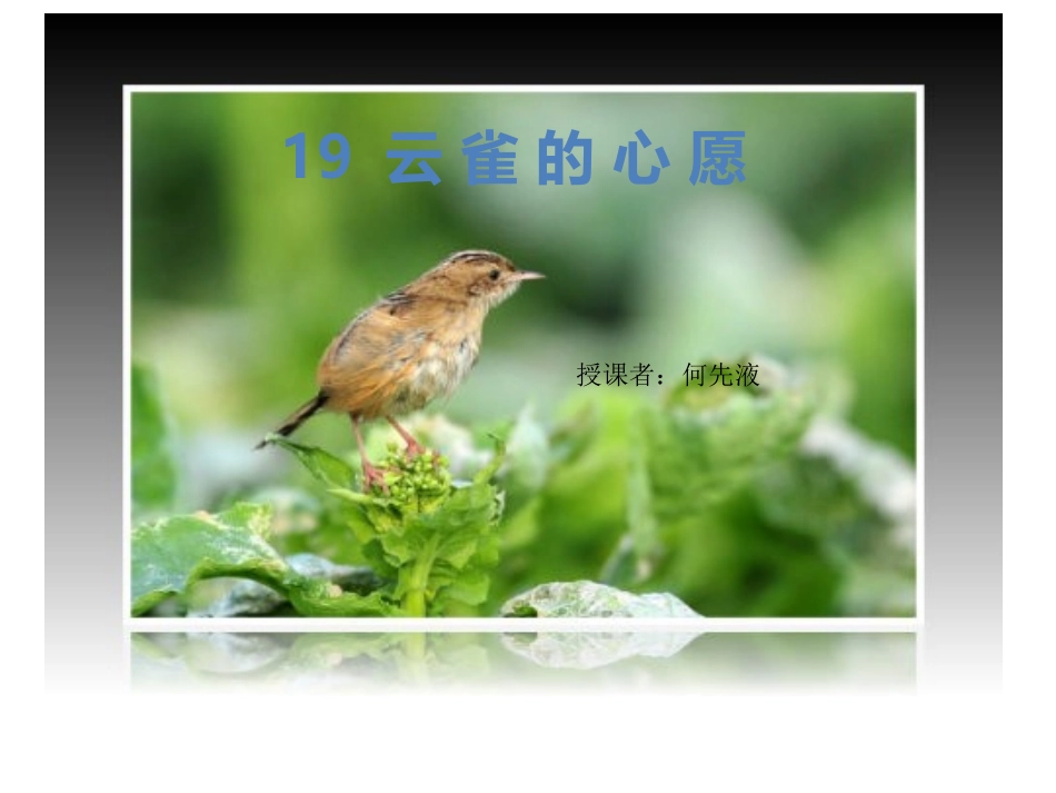 四年级语文下册第七组第二课时课件_第1页