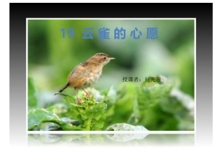 四年级语文下册第七组第二课时课件