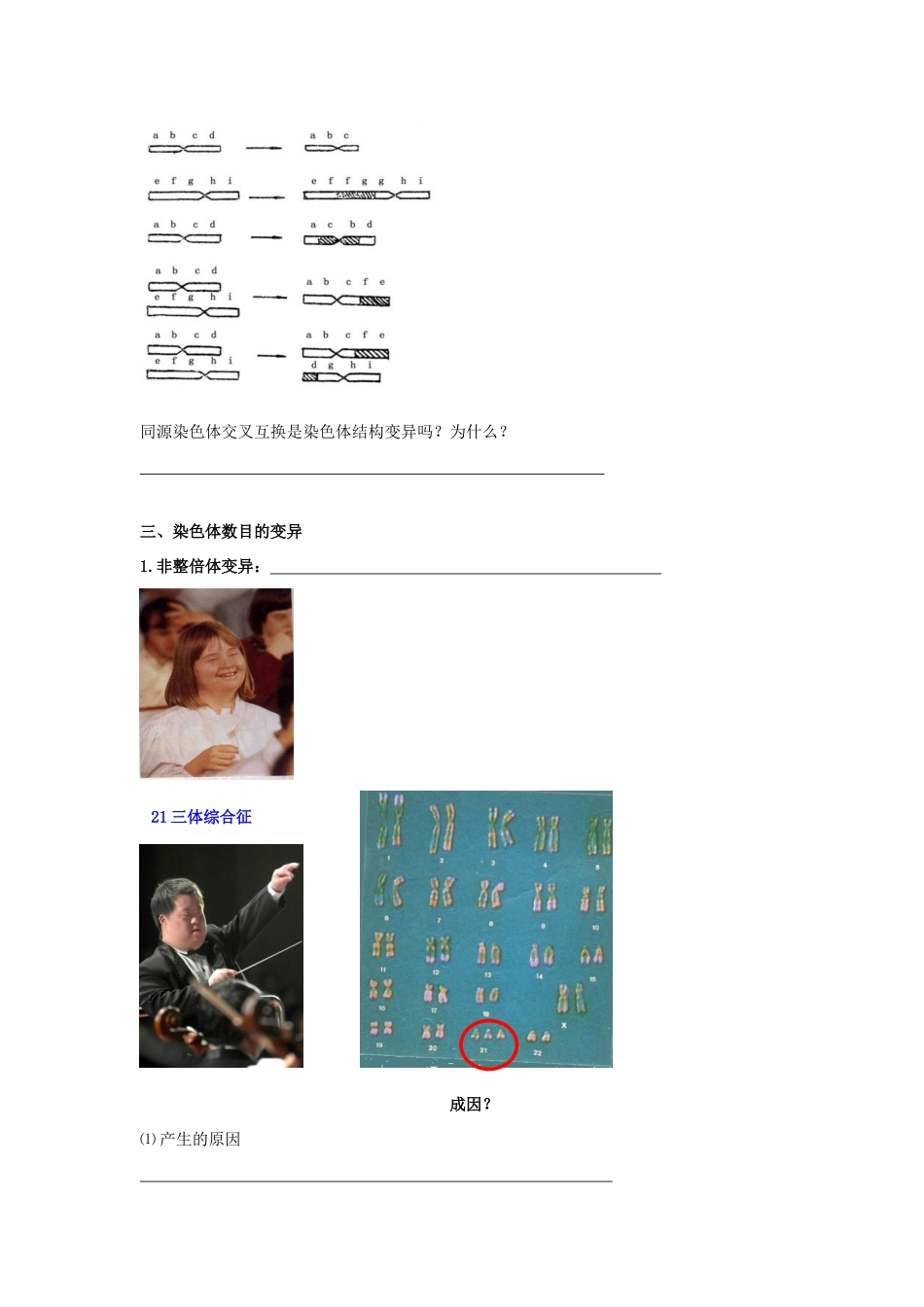 高考生物专题复习 2染色体变异学案-人教版高三全册生物学案_第2页