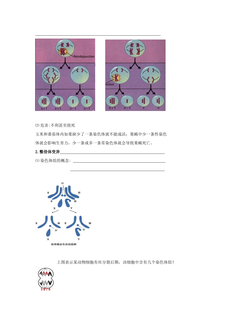 高考生物专题复习 2染色体变异学案-人教版高三全册生物学案_第3页