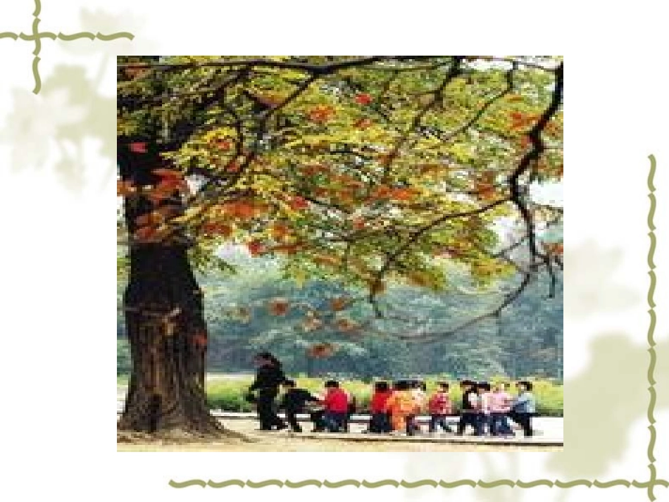 一年级语文《明天要秋游》_第3页