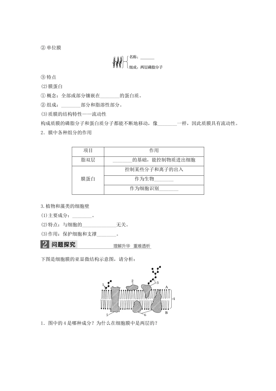 高中生物 2.2 细胞膜和细胞壁学案 浙科版必修1-浙科版高中必修1生物学案_第3页