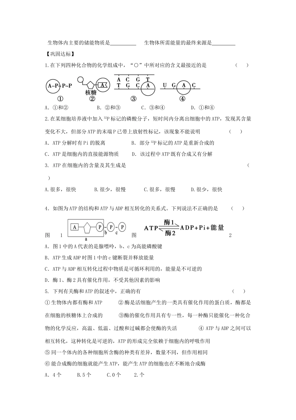 高中生物 5.2 细胞的能量“通货”ATP导学案 新人教版必修1-新人教版高一必修1生物学案_第3页