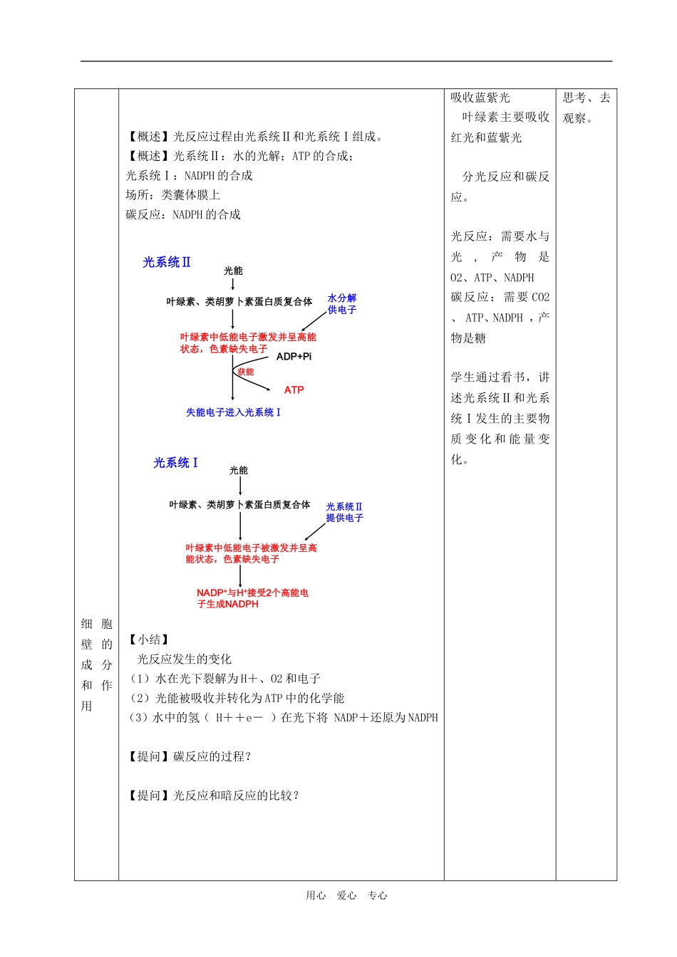 必修1 第三章 第五节 光合作用_第3页