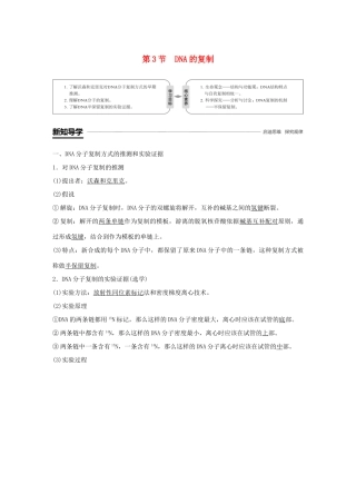 高中生物 第3章 基因的本质 第3节 DNA的复制学案 新人教版必修2-新人教版高一必修2生物学案