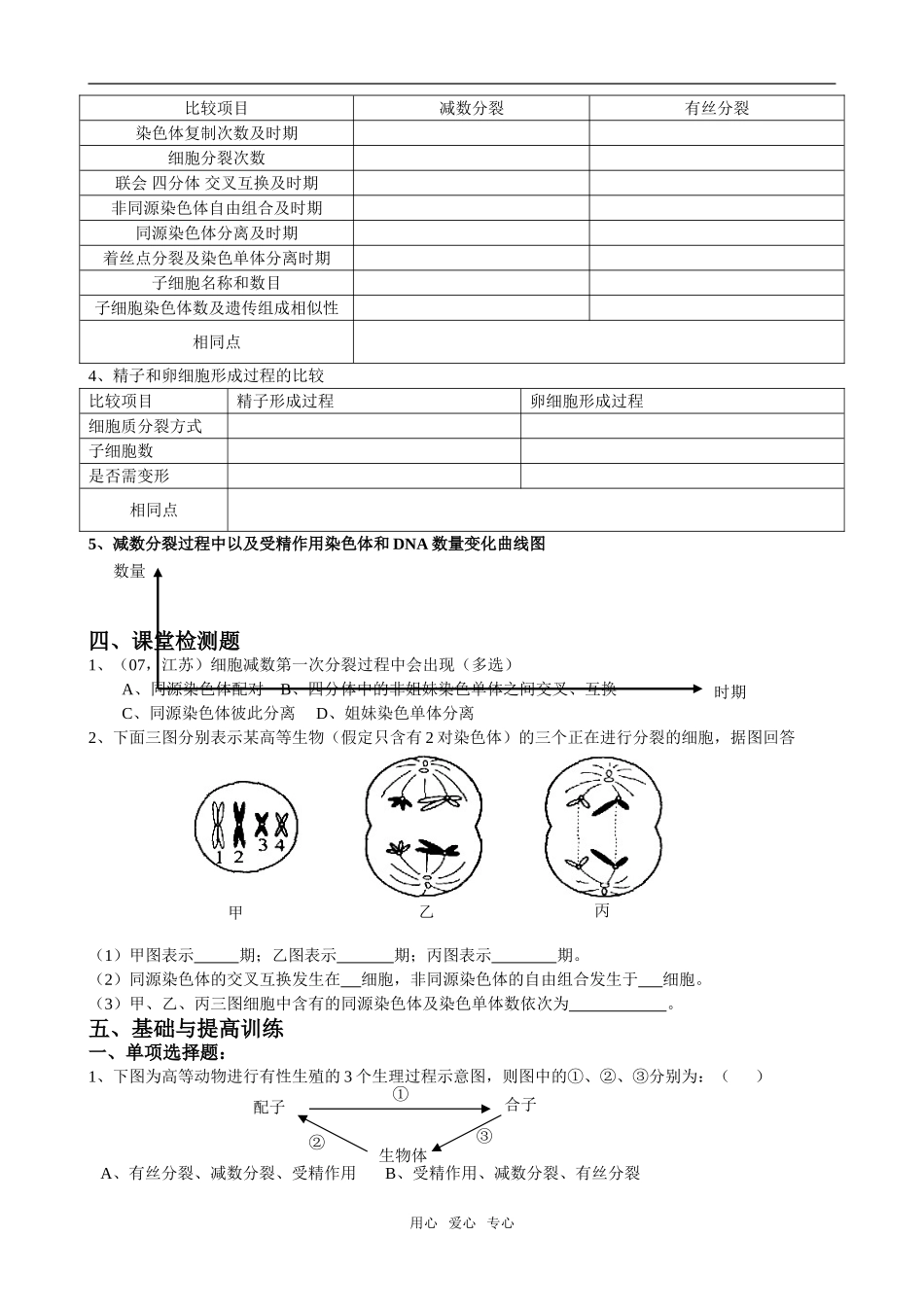3灌中徐占胜减数分裂和受精作用_第2页