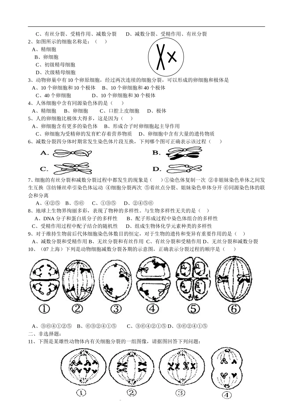 3灌中徐占胜减数分裂和受精作用_第3页