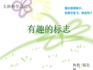 大班科学活动《有趣的标志》