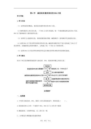 第4节　基因是有遗传效应的DNA片段