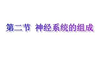 第二节神经系统的组成