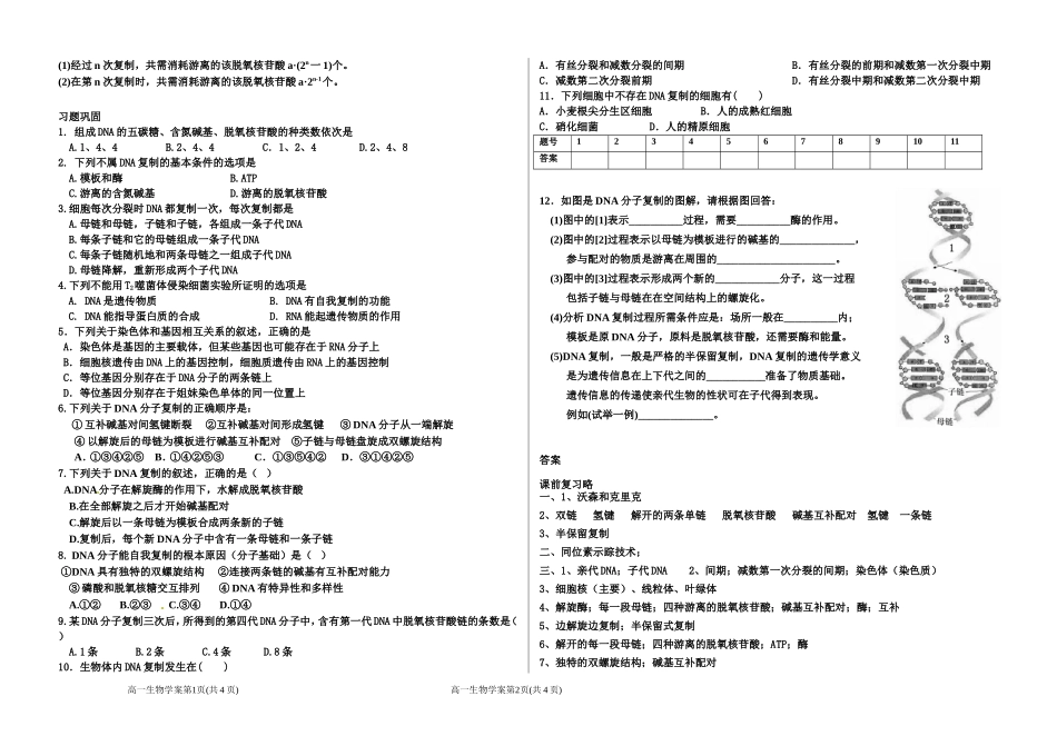 DNA分子的复制_第2页