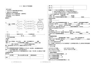 DNA分子的复制