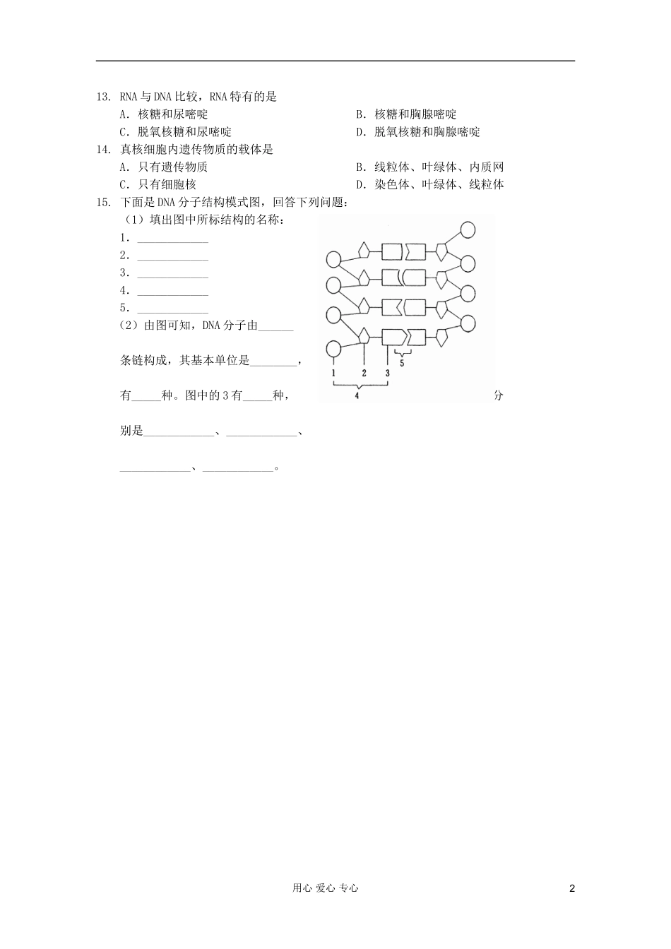 高中生物 第5课时遗传信息的携带者——核酸课时学案 新人教版必修1_第2页