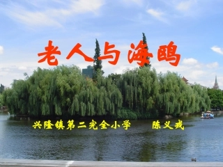 老人与海鸥(陈义戎)