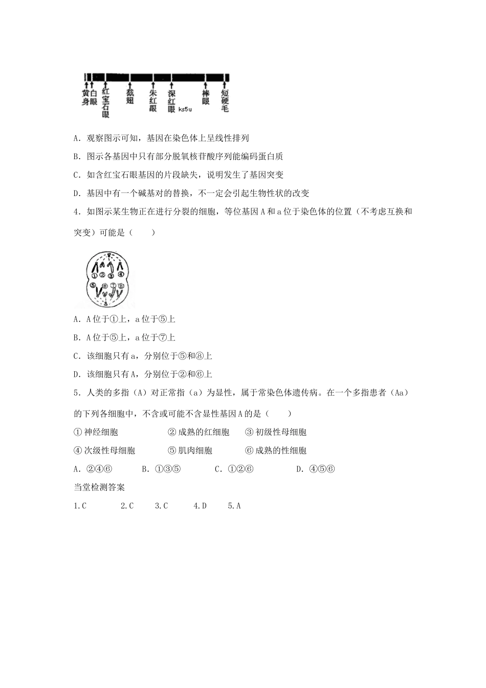高中生物 第2章 基因和染色体的关系 第2节 基因在染色体上学案 新人教版必修2-新人教版高一必修2生物学案_第3页
