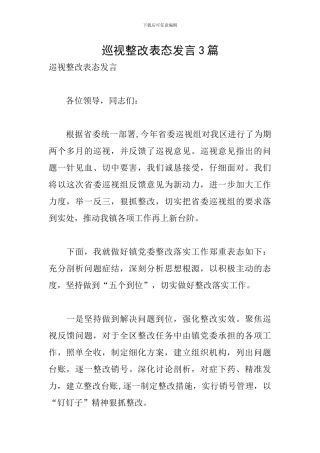 巡视整改表态发言3篇