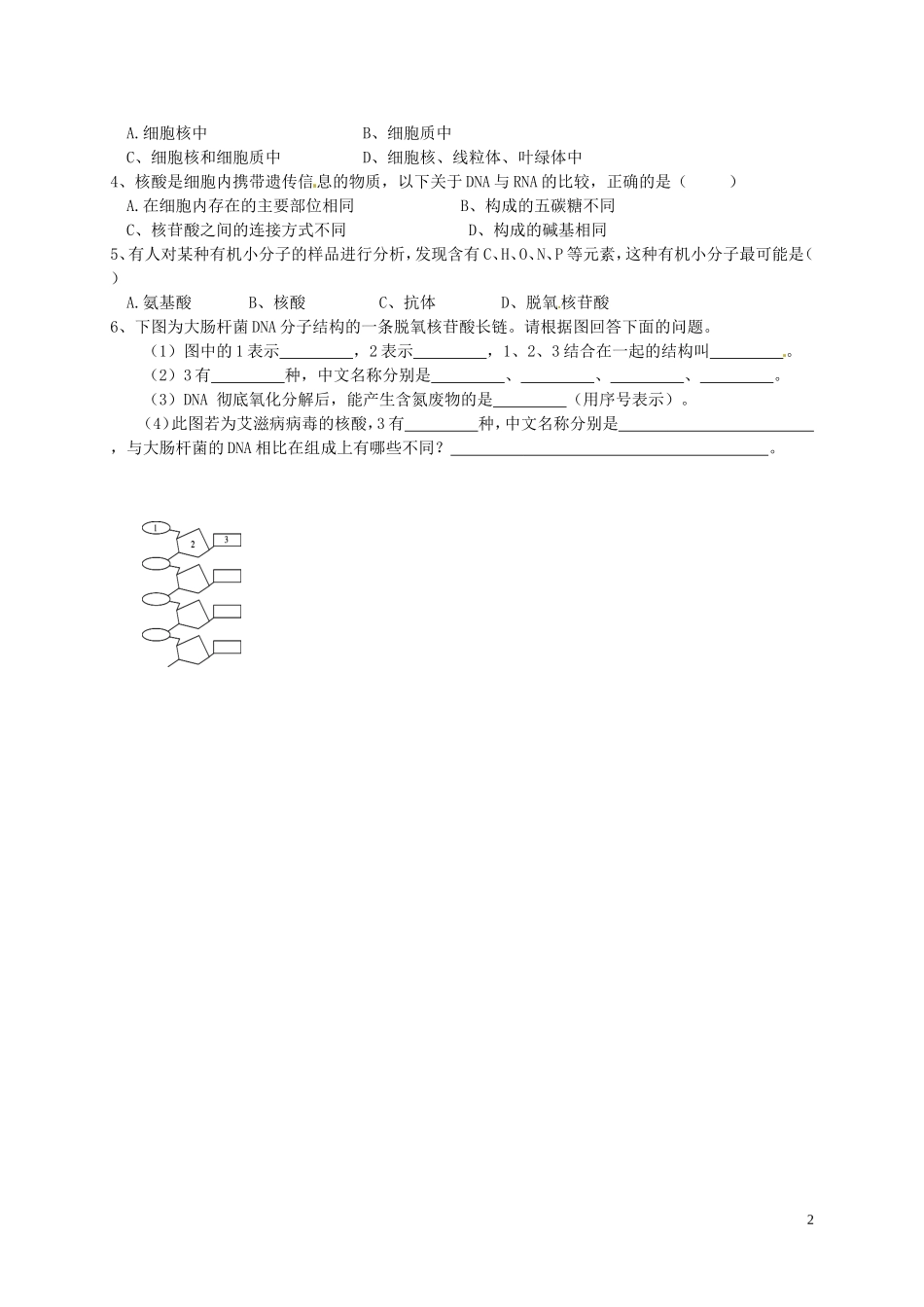 高中生物 2.3遗传信息的携带者-核酸课前预习案 新人教版必修1-新人教版高一必修1生物学案_第2页