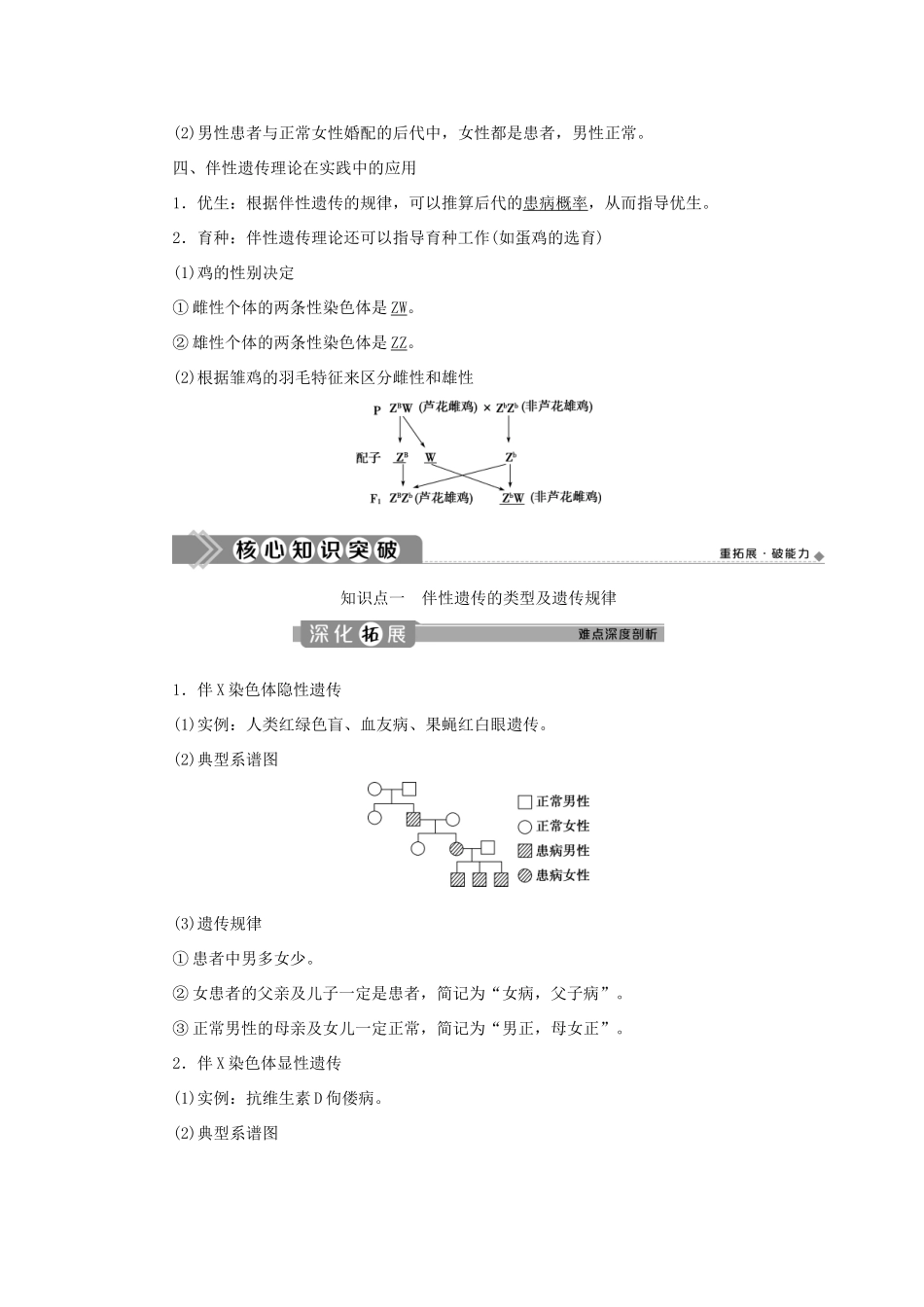 高中生物 第2章 基因和染色体的关系 第3节 伴性遗传（Ⅰ）学案 新人教版必修第二册-新人教版高一第二册生物学案_第3页
