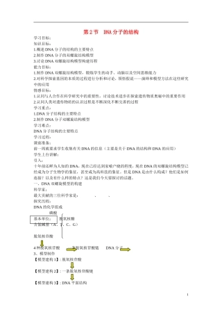 高中生物 第3章　基因的本质第2节《DNA分子的结构》参考学案1 新人教版必修2