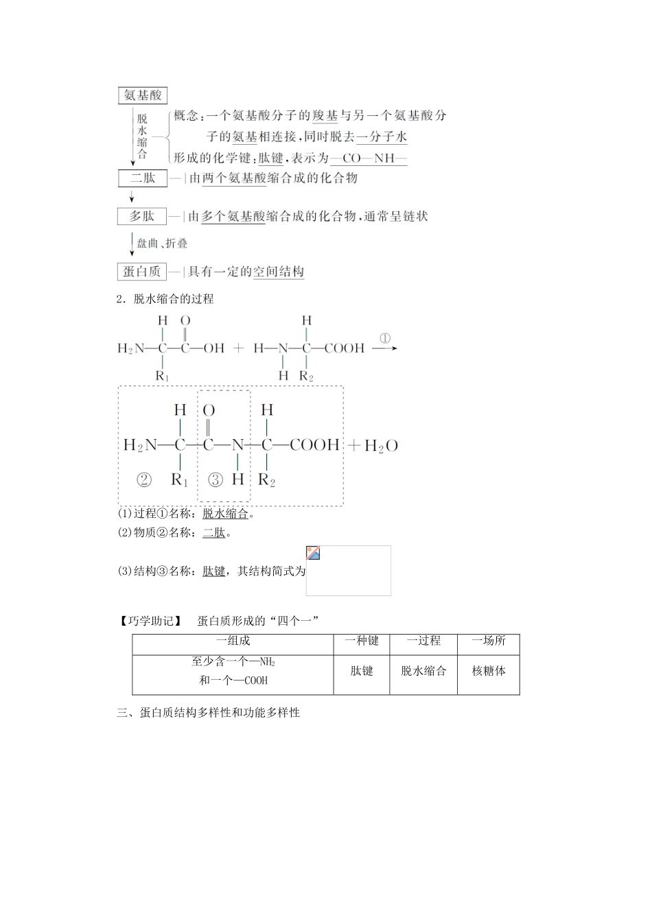 高中生物 2.2 生命活动的主要承担者——蛋白质学案 新人教版必修1-新人教版高中必修1生物学案_第2页