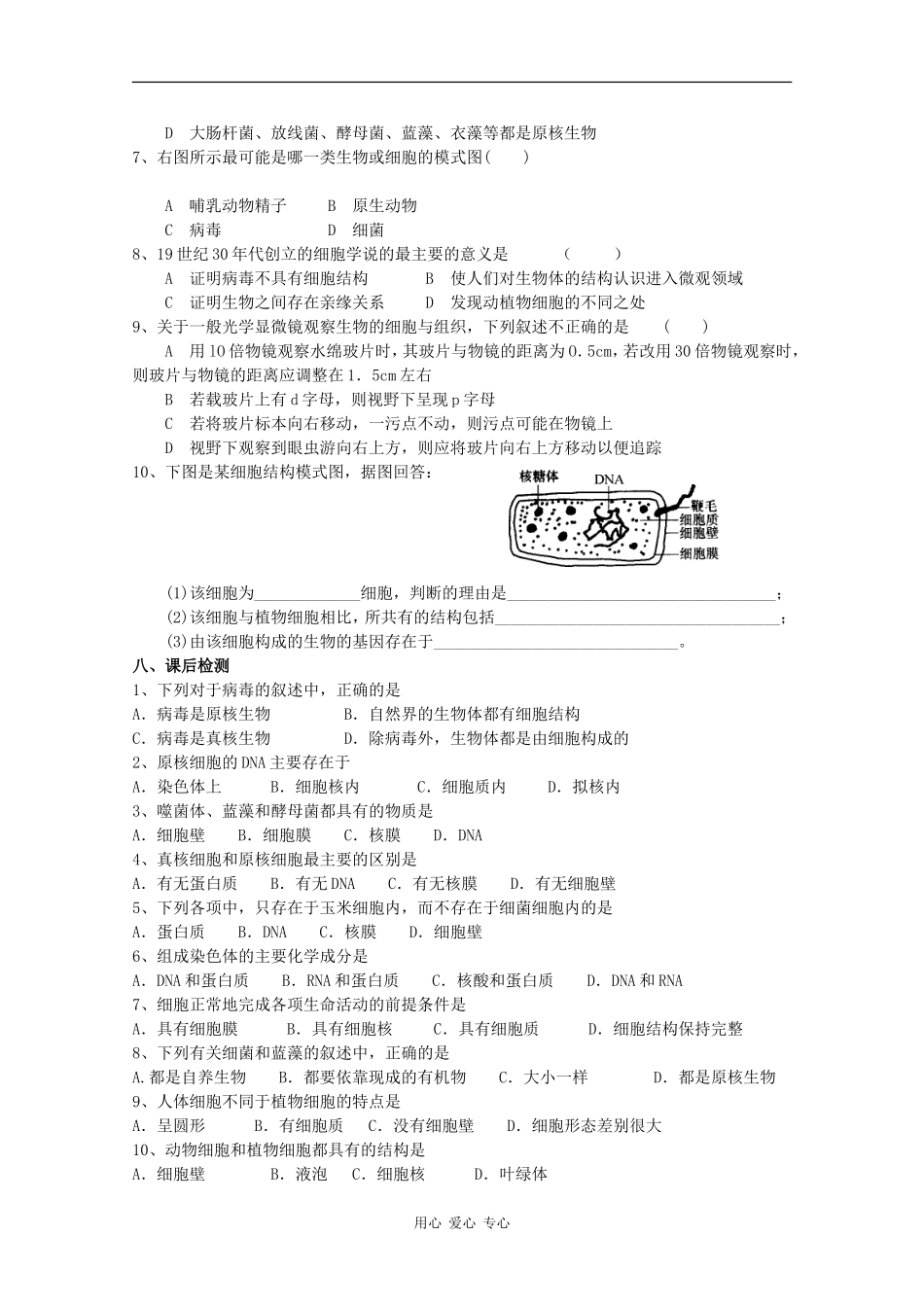 高一生物：1.2《细胞的多样性和统一性》学案4）新人教版_第3页