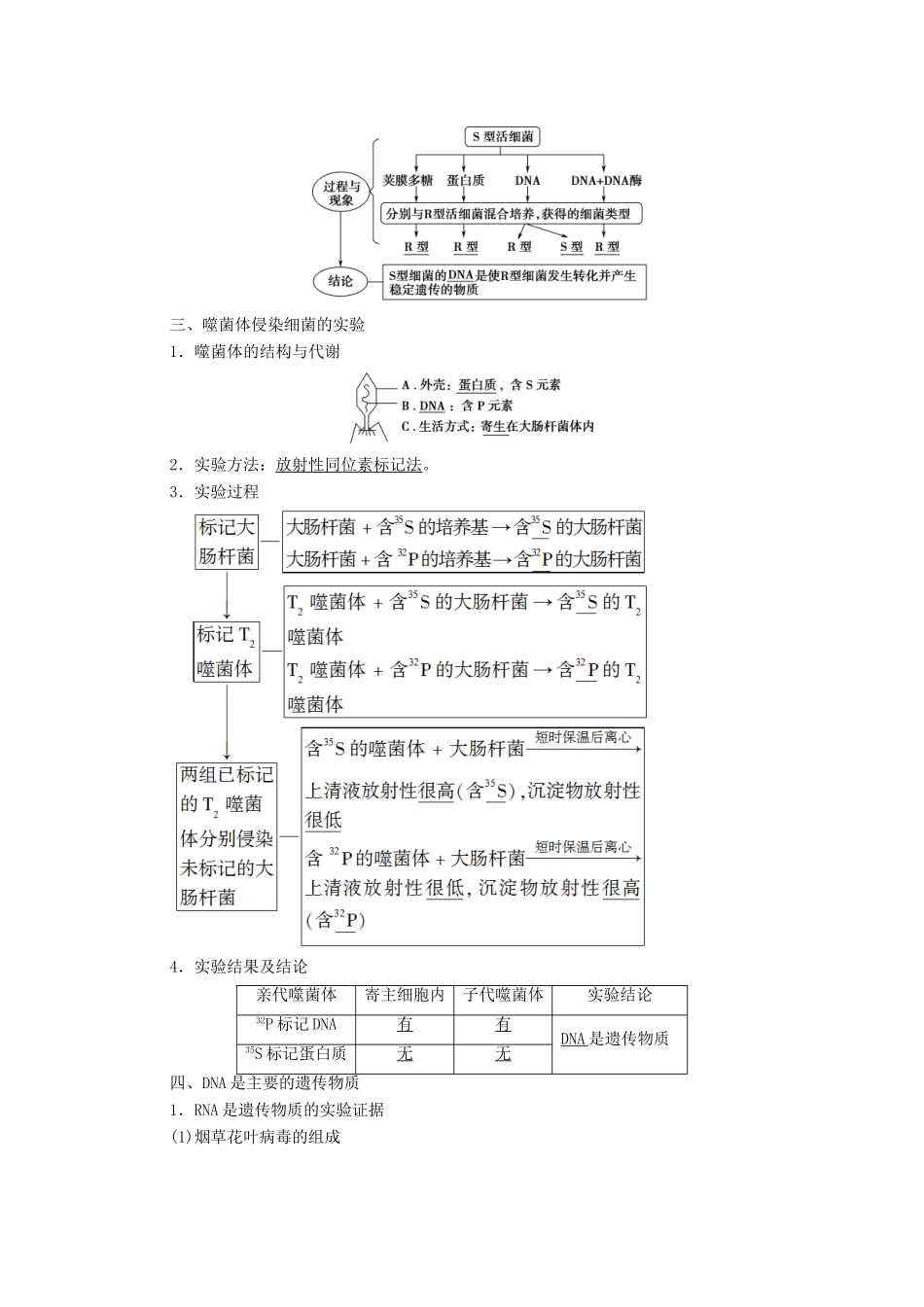 高中生物 第3章 基因的本质 第1节 DNA是主要的遗传物质学案 新人教版必修2-新人教版高中必修2生物学案_第2页