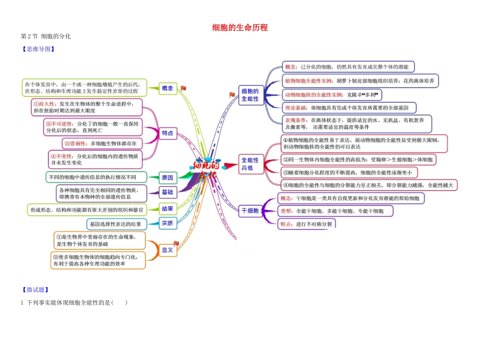 高中生物 1 6.2 细胞的分化教材图解学案 新人教版必修1-新人教版高一必修1生物学案_第1页