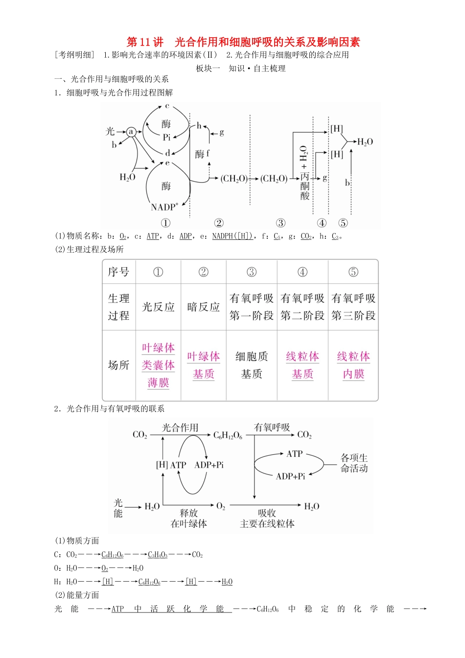 高考生物一轮复习 第11讲 光合作用和细胞呼吸的关系及影响因素讲练结合学案-人教版高三全册生物学案_第1页