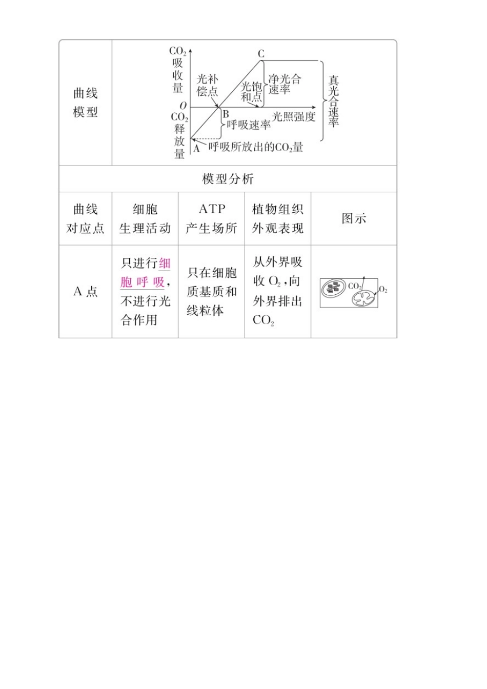 高考生物一轮复习 第11讲 光合作用和细胞呼吸的关系及影响因素讲练结合学案-人教版高三全册生物学案_第3页