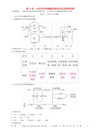 高考生物一轮复习 第11讲 光合作用和细胞呼吸的关系及影响因素讲练结合学案-人教版高三全册生物学案