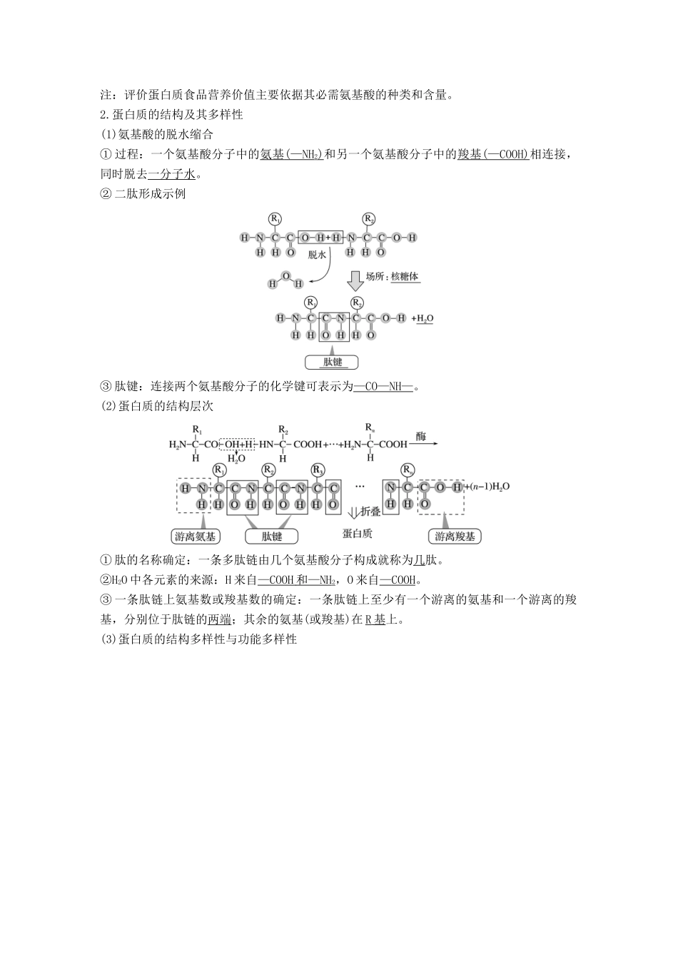 高考生物一轮复习 第二单元 细胞的自我保障 第3讲 细胞中的蛋白质创新备考学案 中图版-中图版高三全册生物学案_第2页