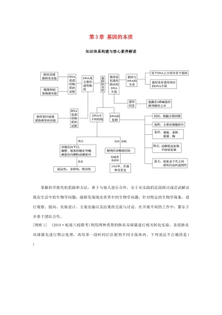 高中生物 第3章 基因的本质知识体系构建与核心素养解读学案 新人教版必修2-新人教版高一必修2生物学案