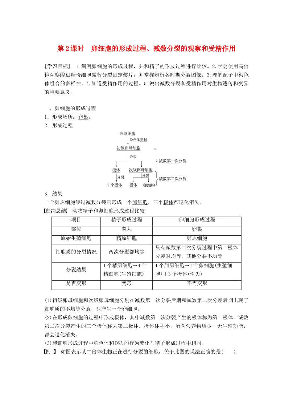 高中生物 第2章 基因和染色体的关系 第1节 减数分裂和受精作用 第2课时 卵细胞的形成过程、减数分裂的观察和受精作用学案 新人教版必修2-新人教版高一必修2生物学案_第1页