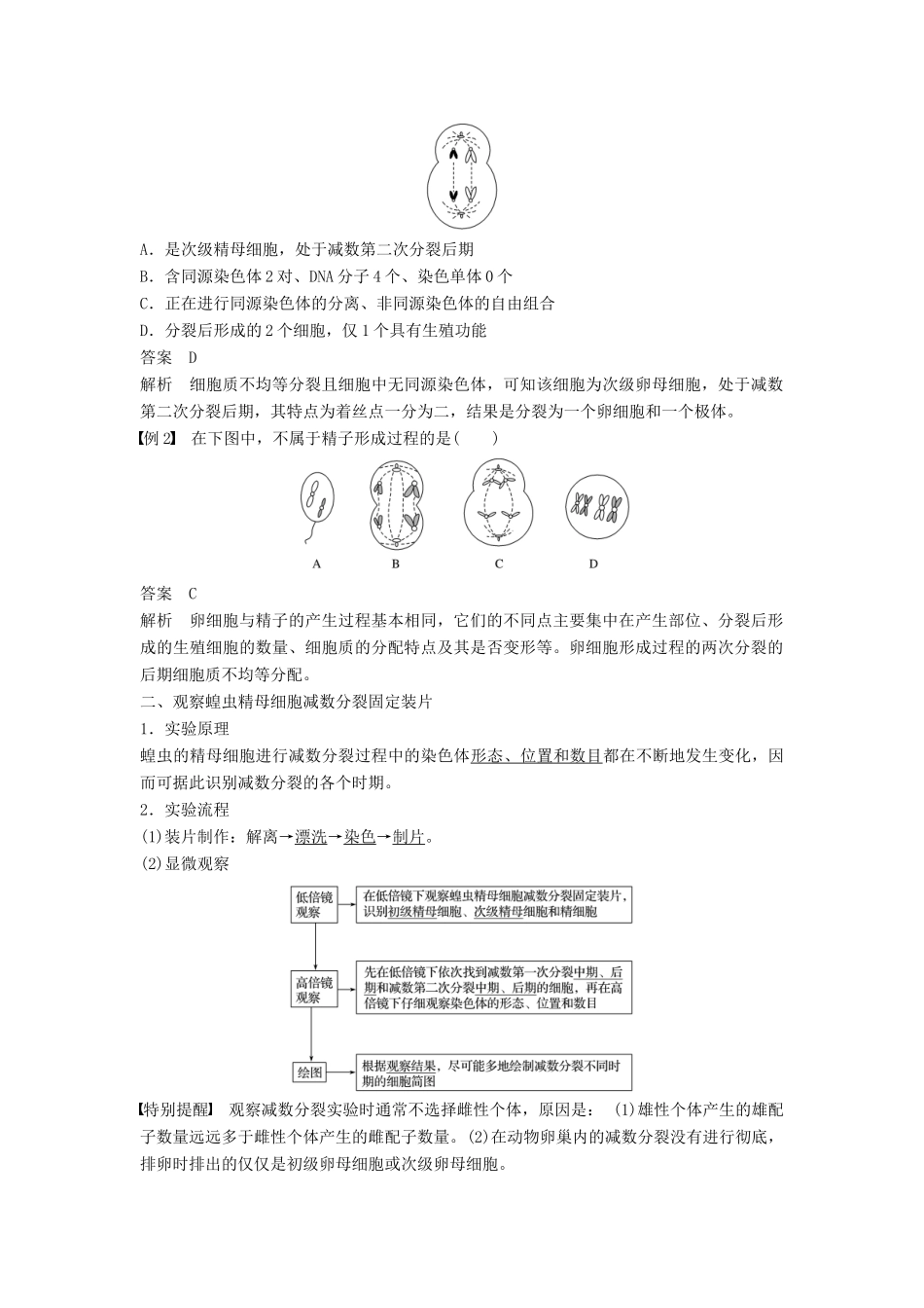 高中生物 第2章 基因和染色体的关系 第1节 减数分裂和受精作用 第2课时 卵细胞的形成过程、减数分裂的观察和受精作用学案 新人教版必修2-新人教版高一必修2生物学案_第2页