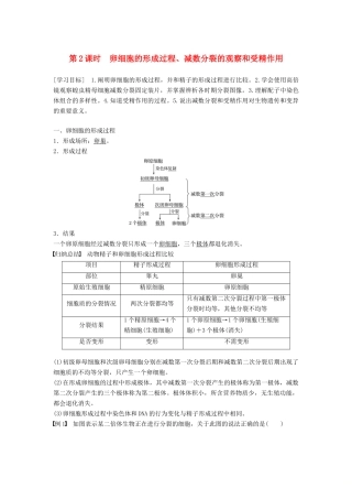 高中生物 第2章 基因和染色体的关系 第1节 减数分裂和受精作用 第2课时 卵细胞的形成过程、减数分裂的观察和受精作用学案 新人教版必修2-新人教版高一必修2生物学案