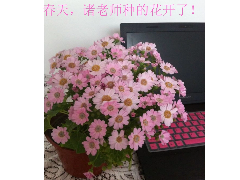 四个太阳优秀课件_第1页