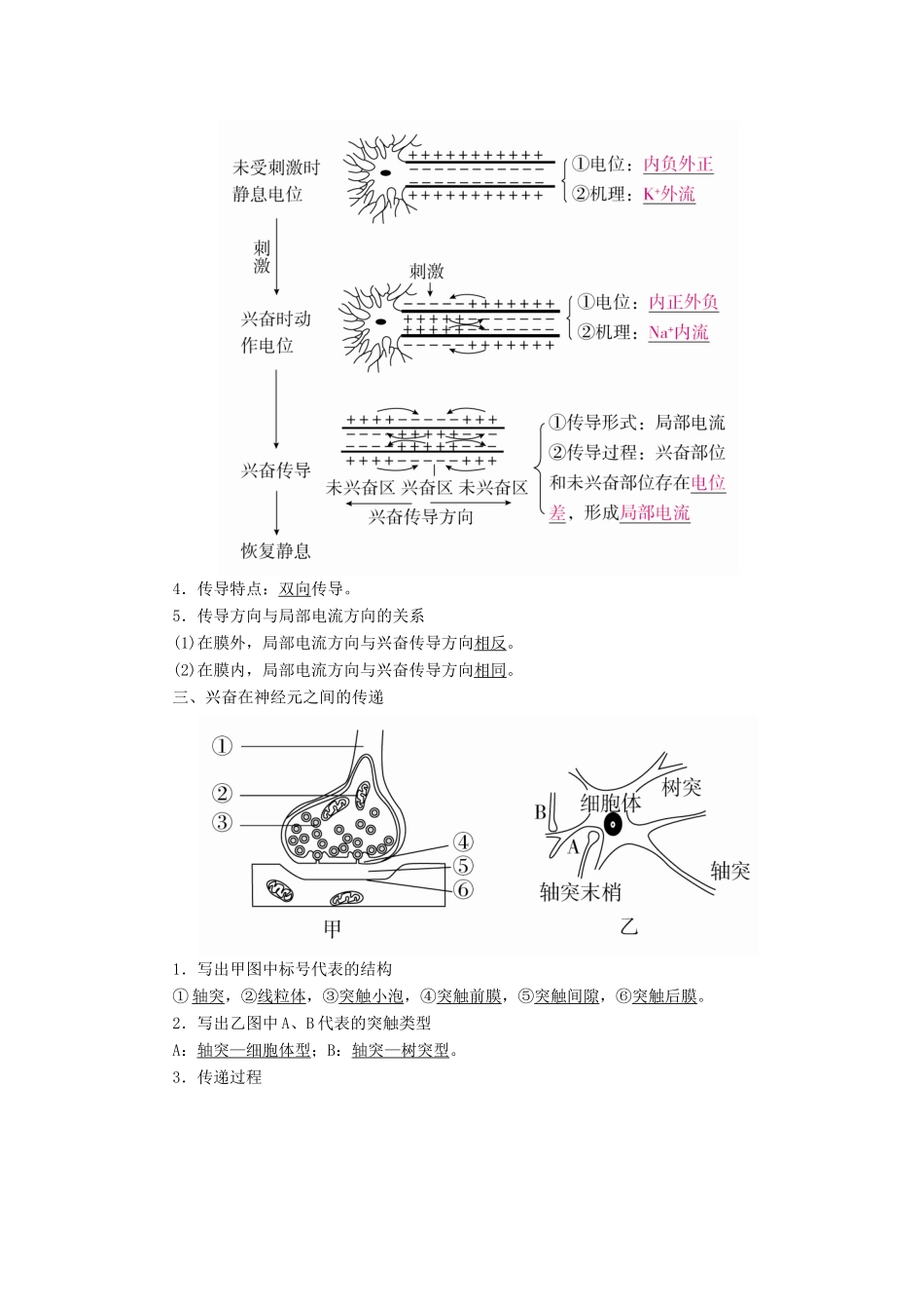 （全国版）高考生物一轮复习 第26讲 通过神经系统的调节培优学案-人教版高三全册生物学案_第2页